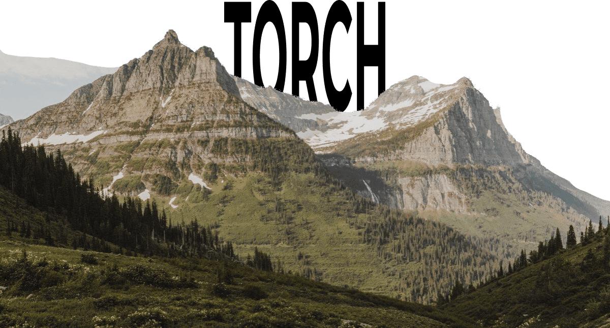 TORCH